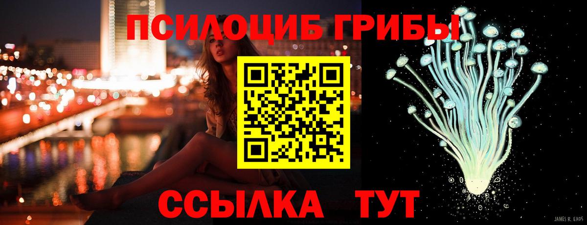 Дербент  Псилоцибиновые грибы мухоморы  Вход с VPN  Псилоцибиновые грибы Cubensis 